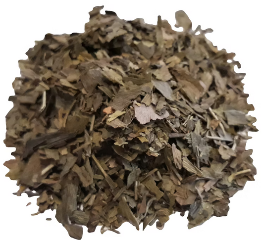 Ginkgo biloba leaves