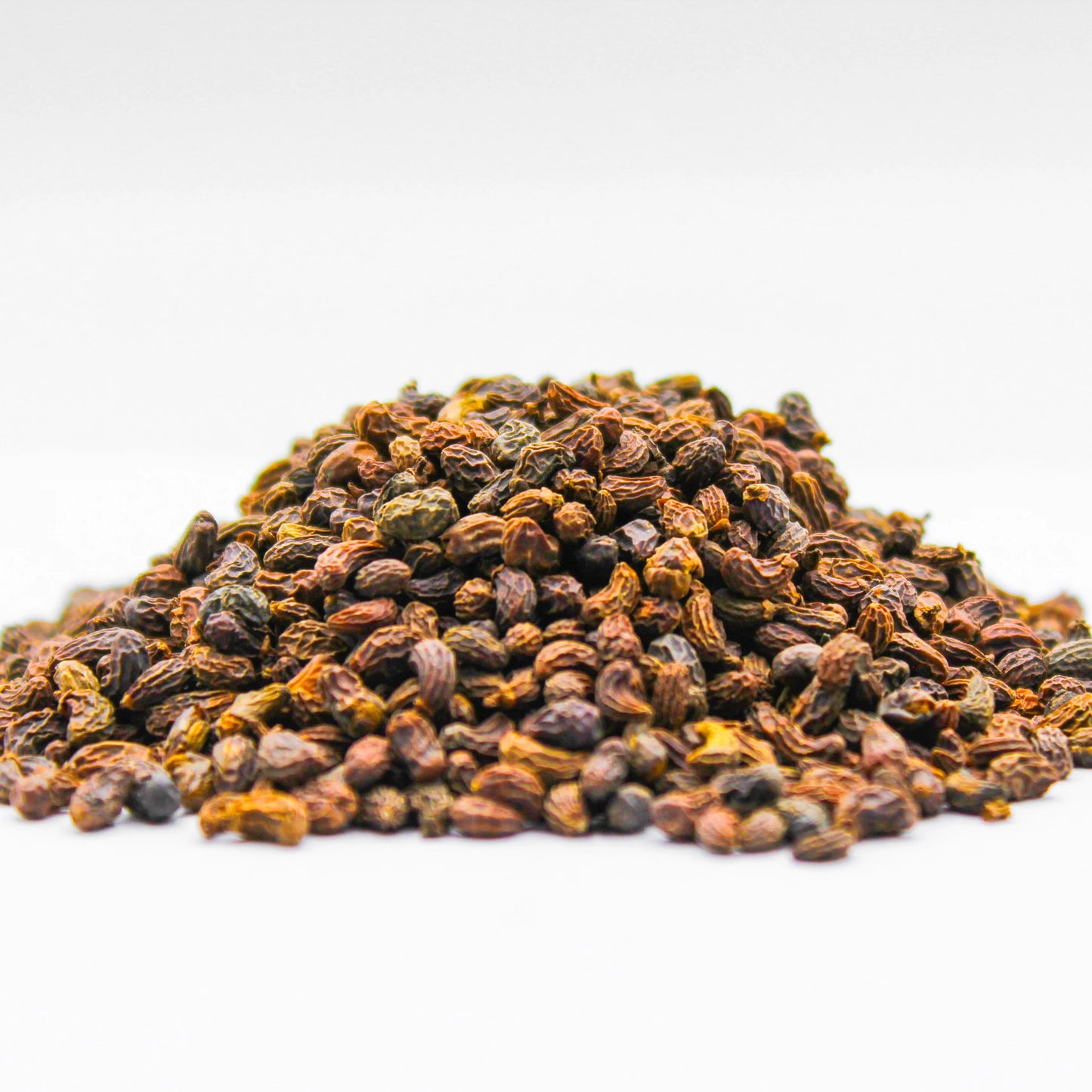 Glossy Privet berry whole