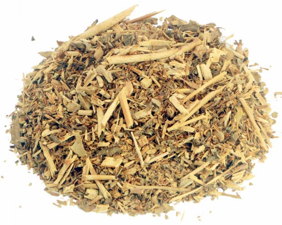 Grindelia