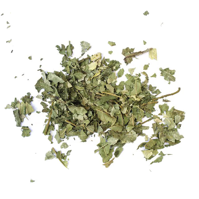 Guava leaves