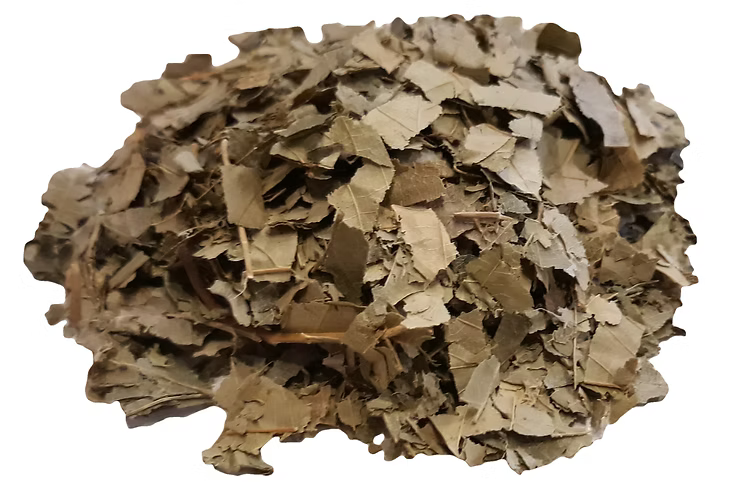 Horse chestnut leaves