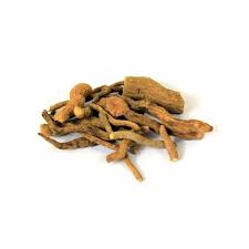 Indian Snake root