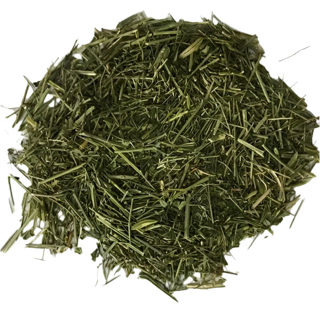Kalmegh Andrographis herb