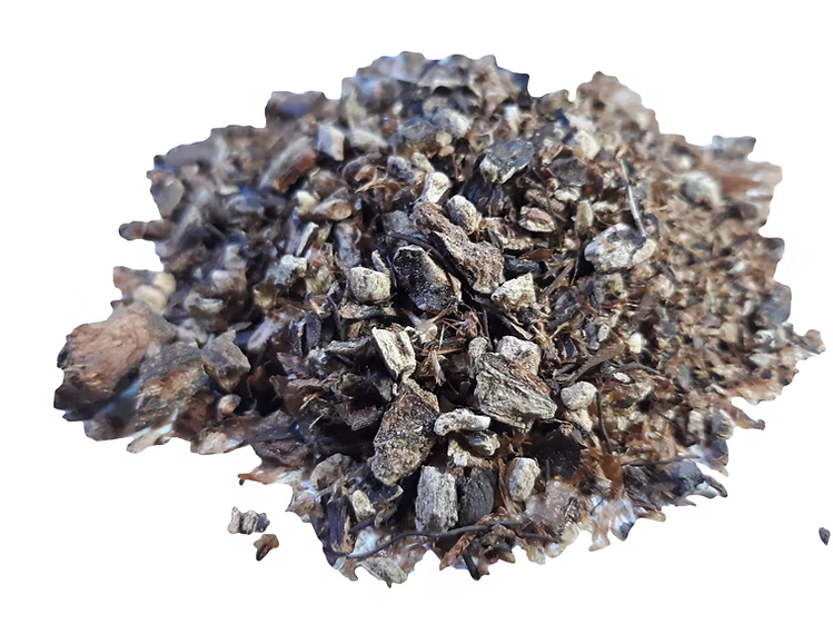 Male fern root