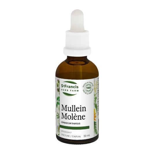Mullein 50ml