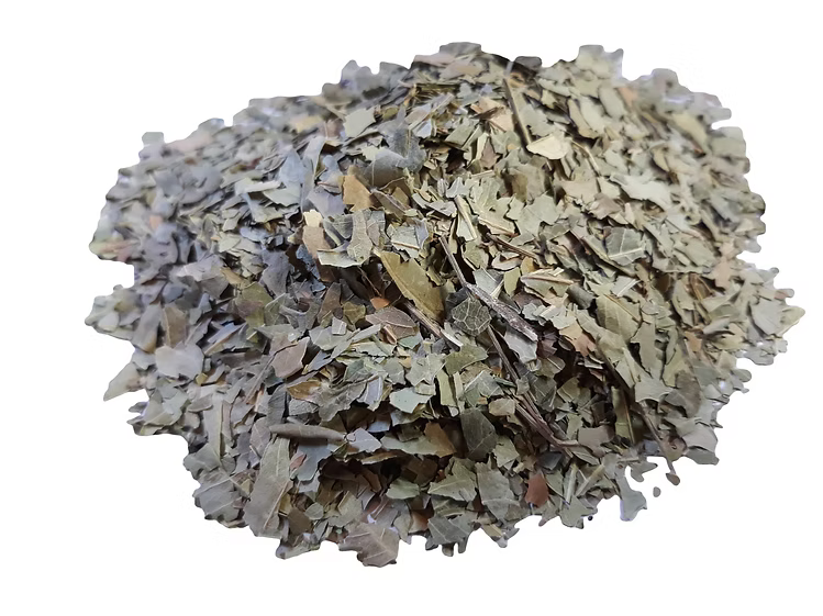 Neem leaves