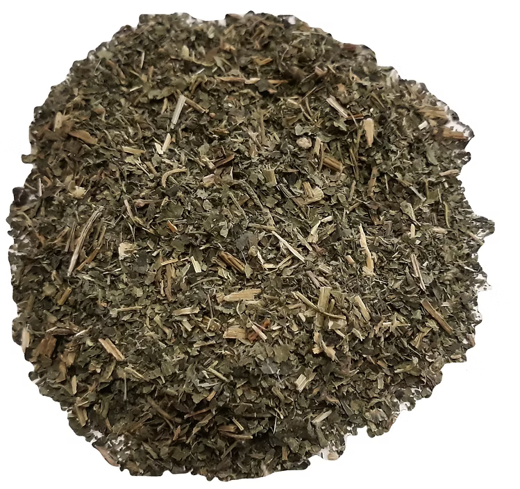 Nettle leaves wild