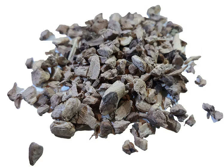 Red Root (Jersey tea)