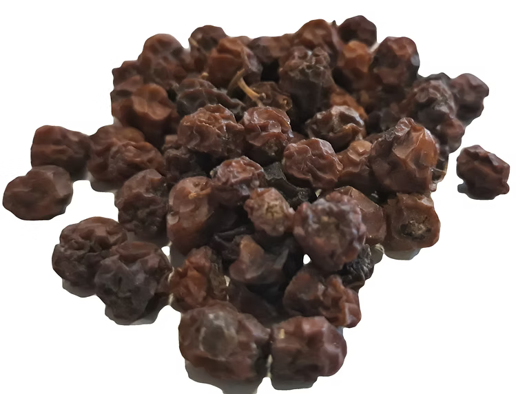 Rowan (Mountain ash) berries