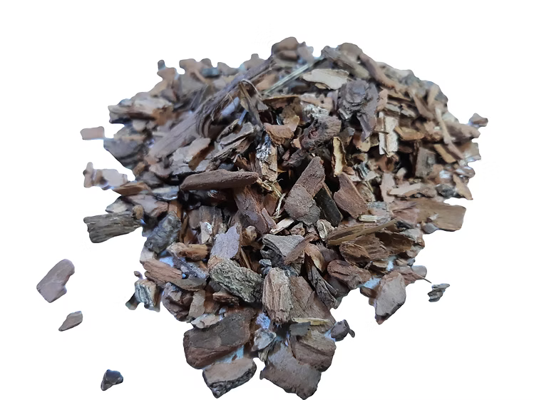 Sassafras tree bark