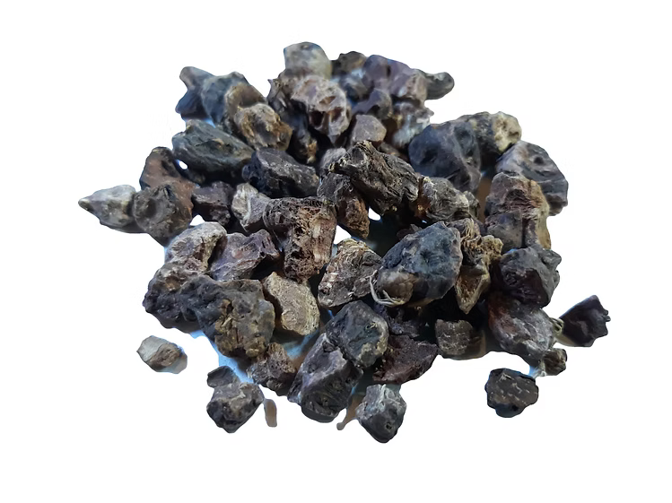 Tormentilla root