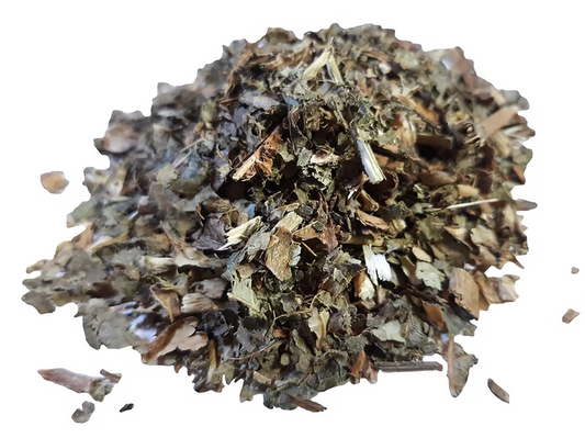 Witch hazel leaves