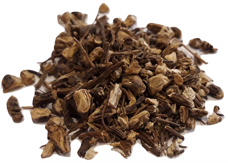 Angelica root
