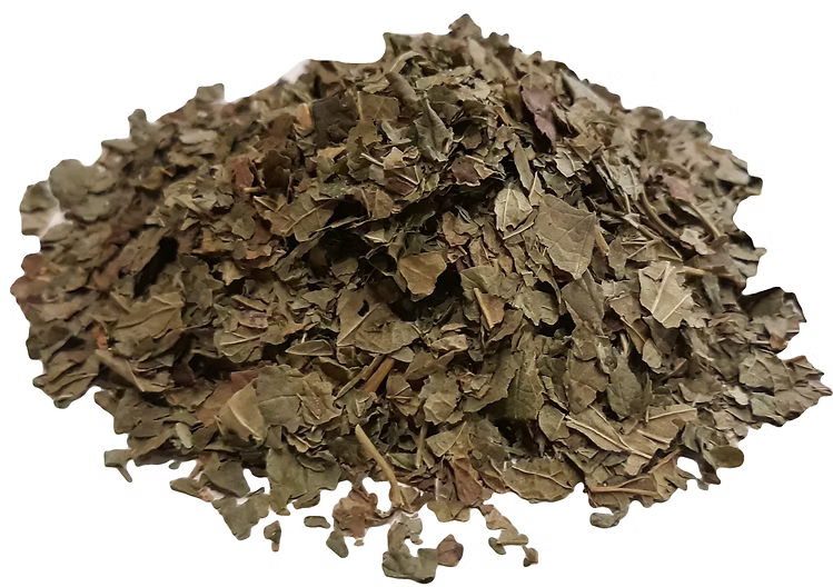 Black currant leaves