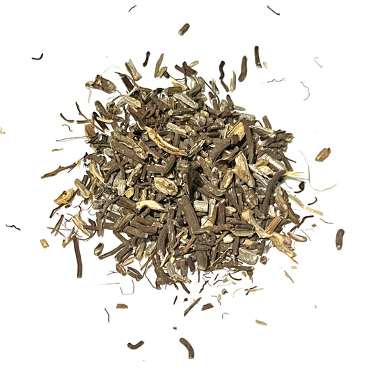 Echinacea angustifolia root