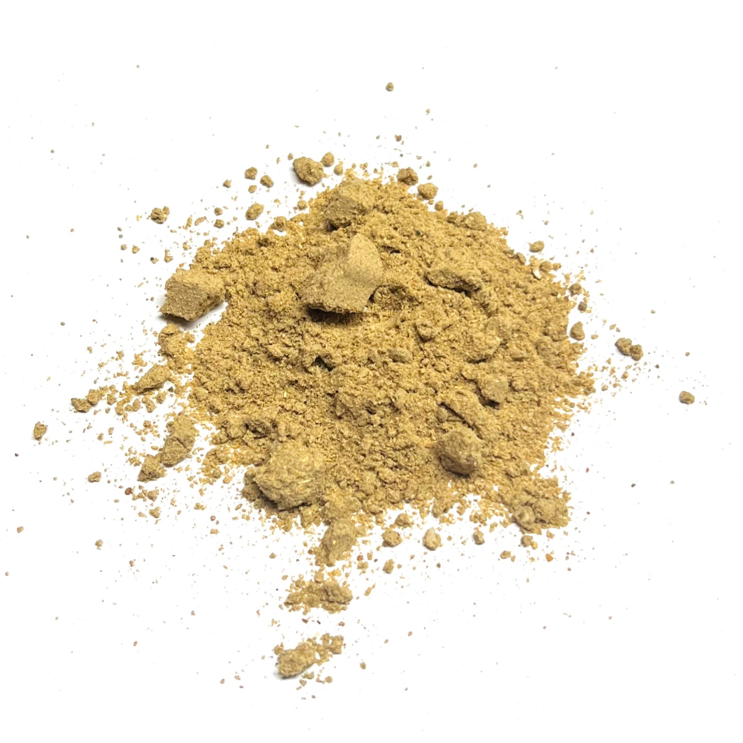 Moringa seeds powder