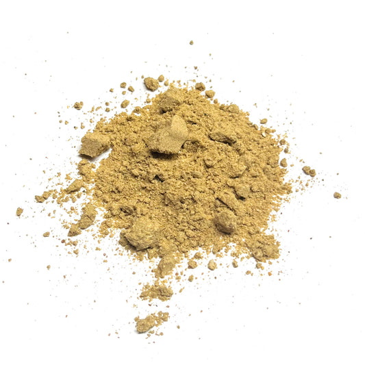 Moringa seeds powder