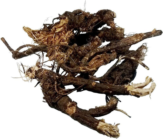Osha root