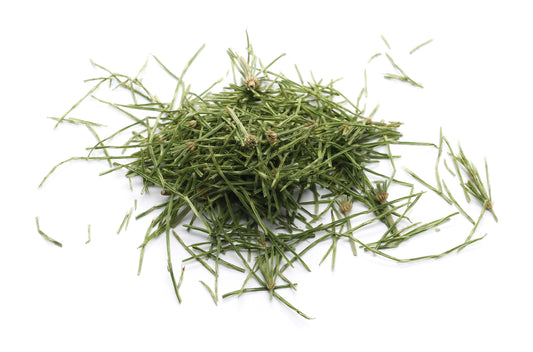 Horsetail
