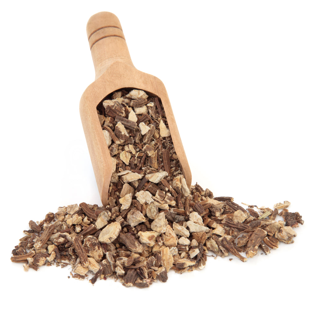 Angelica root