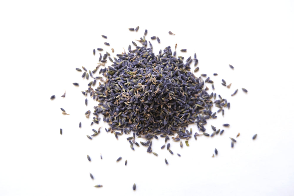 Lavender flower