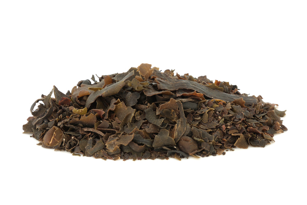 Bladderwrack