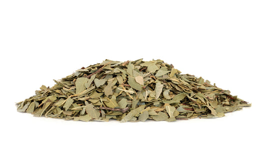 Boldo leaves