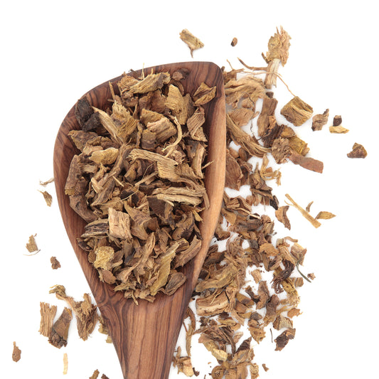 Yellow dock root