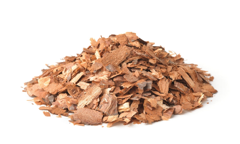 White pine bark