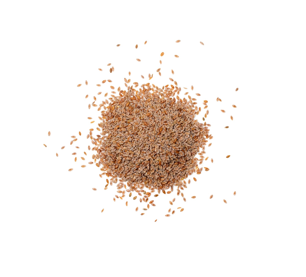 Psyllium seed blonde whole (454g, 1lb)