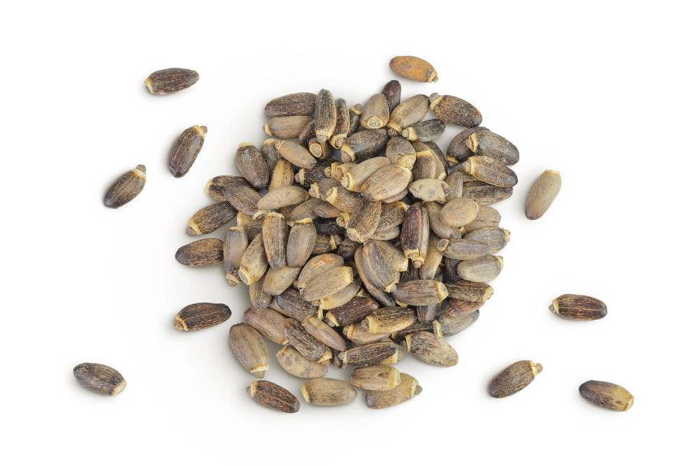 Milk thistle seed whole