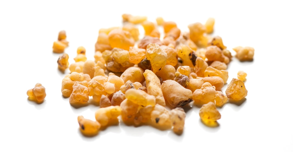 Boswellia resin pieces