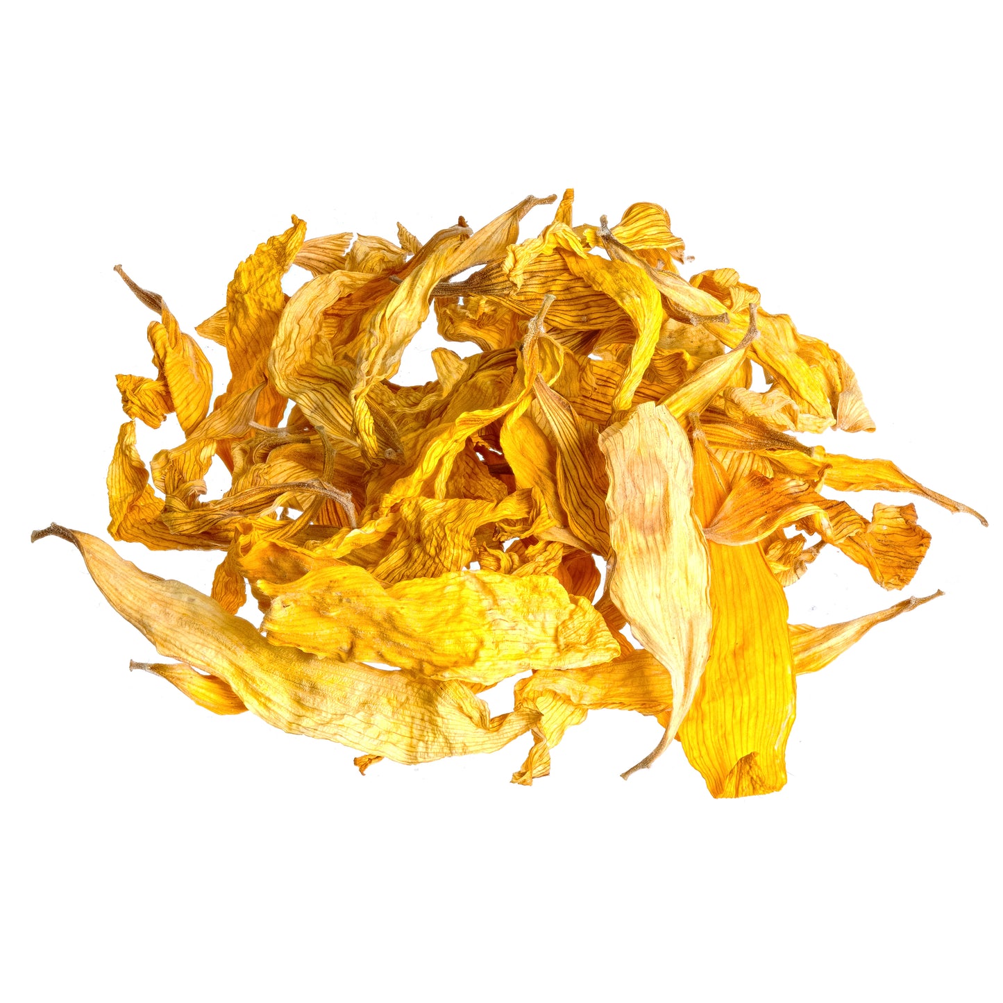 Sunflower petals (flower)