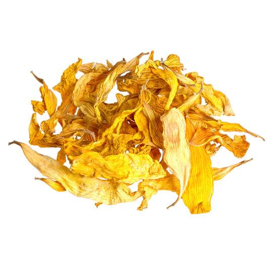 Sunflower petals (flower)