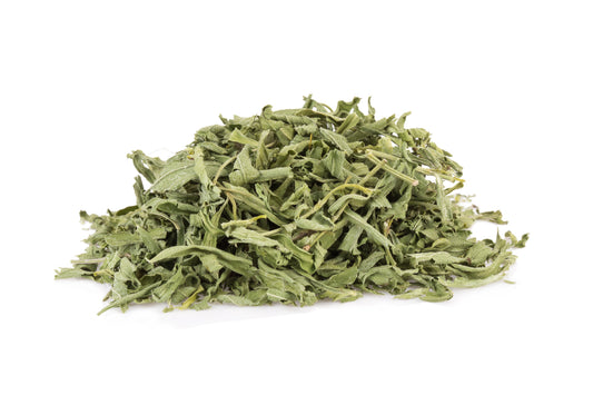 Tarragon (Estragon)